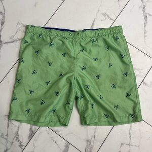 Izod Green and Blue 🦀 Swim Trunks for Relaxed Beach Days